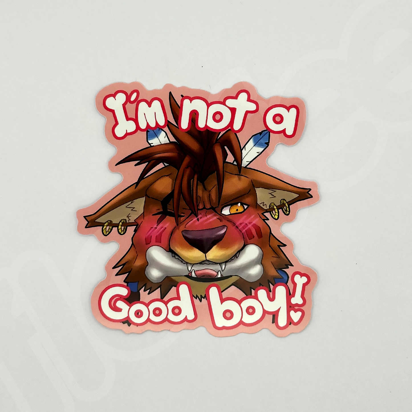 not a good boy sticker