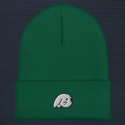 represent - beanie